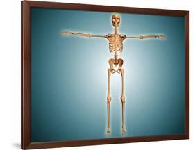 Front View of Human Skeletal System-null-Framed Art Print