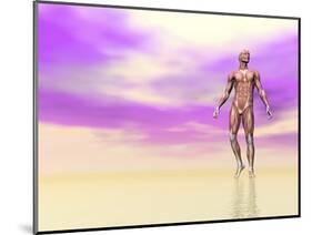 Front View of Male Musculature, Pink Background-null-Mounted Art Print