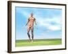 Front View of Male Musculature Walking-null-Framed Art Print