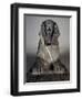 Front View of Sphinx of Tuthmosis Iii-null-Framed Giclee Print