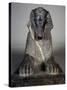 Front View of Sphinx of Tuthmosis Iii-null-Stretched Canvas