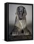 Front View of Sphinx of Tuthmosis Iii-null-Framed Stretched Canvas