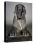 Front View of Sphinx of Tuthmosis Iii-null-Stretched Canvas