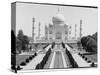 Front View of Taj Mahal in India-null-Stretched Canvas