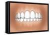 Front View of Teeth Showing Healthy Gums-null-Framed Stretched Canvas