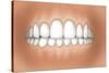 Front View of Teeth Showing Healthy Gums-null-Stretched Canvas