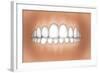 Front View of Teeth Showing Healthy Gums-null-Framed Art Print