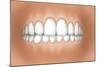 Front View of Teeth Showing Healthy Gums-null-Mounted Art Print