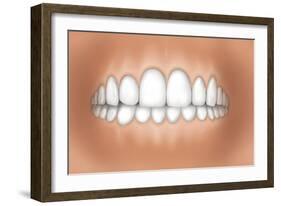 Front View of Teeth Showing Healthy Gums-null-Framed Art Print