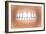 Front View of Teeth Showing Healthy Gums-null-Framed Art Print