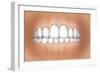 Front View of Teeth Showing Healthy Gums-null-Framed Art Print