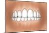 Front View of Teeth Showing Healthy Gums-null-Mounted Art Print