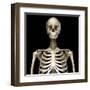 Front view of the human torso skeletal system on black background.-Leonello Calvetti-Framed Art Print