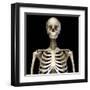Front view of the human torso skeletal system on black background.-Leonello Calvetti-Framed Art Print