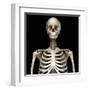 Front view of the human torso skeletal system on black background.-Leonello Calvetti-Framed Art Print