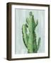 Front Yard Cactus II Slate-Silvia Vassileva-Framed Art Print