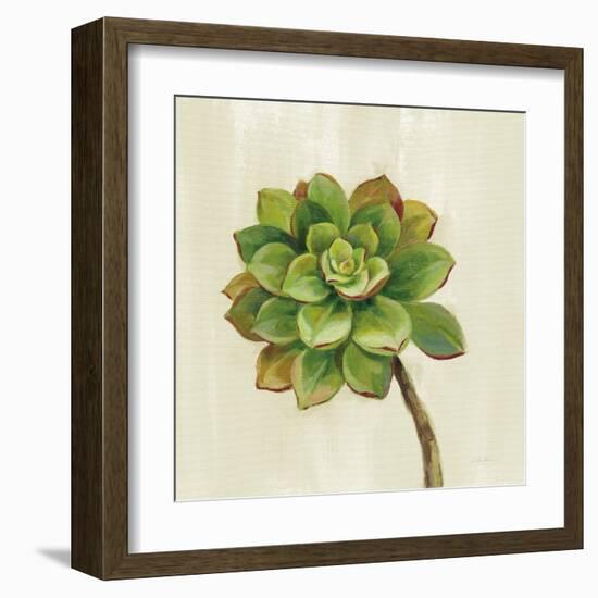 Front Yard Succulent IV-Silvia Vassileva-Framed Art Print