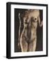 Frontal I-Dario Moschetta-Framed Art Print