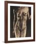 Frontal I-Dario Moschetta-Framed Art Print