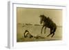 Frontiers Day Rodeo At Cheyenne, Wyoming-null-Framed Art Print