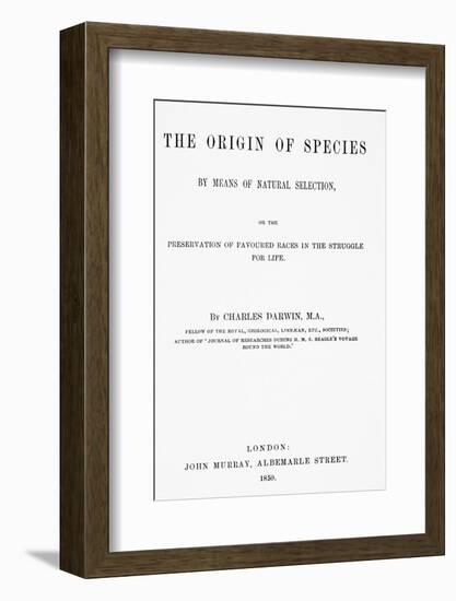 Frontispiece of C. Darwin's Origin of Species-Science Photo Library-Framed Photographic Print
