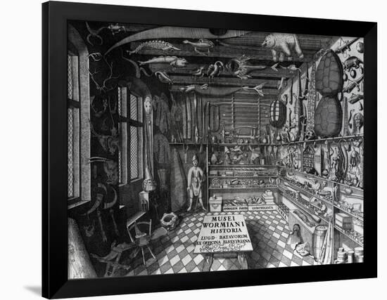 Frontispiece of Ole Worm's Cabinet of Curiosities from 'Museum Wormianum' by Ole Worm-G. Wingendorp-Framed Giclee Print