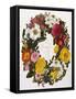 Frontispiece of Roses, Collection of Roses from Nature-Mary Lawrence-Framed Stretched Canvas