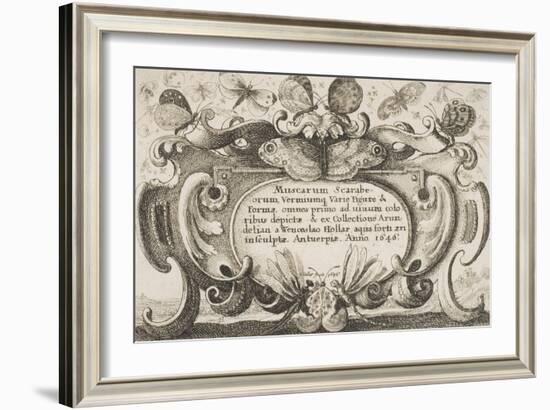 Frontispiece, Plate 1 from the Series "Muscarum, Scarabeorum Vermiumque Varie Figure and Formae"-Wenceslaus Hollar-Framed Giclee Print