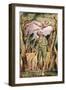 Frontispiece: Plate 2 from 'Songs of Innocence and of Experience' C.1815-26-William Blake-Framed Giclee Print