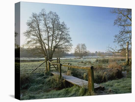 Frost at Thundery Meadows, Elstead, Surrey, England, UK-Pearl Bucknall-Stretched Canvas