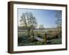 Frost at Thundery Meadows, Elstead, Surrey, England, UK-Pearl Bucknall-Framed Photographic Print