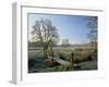 Frost at Thundery Meadows, Elstead, Surrey, England, UK-Pearl Bucknall-Framed Photographic Print