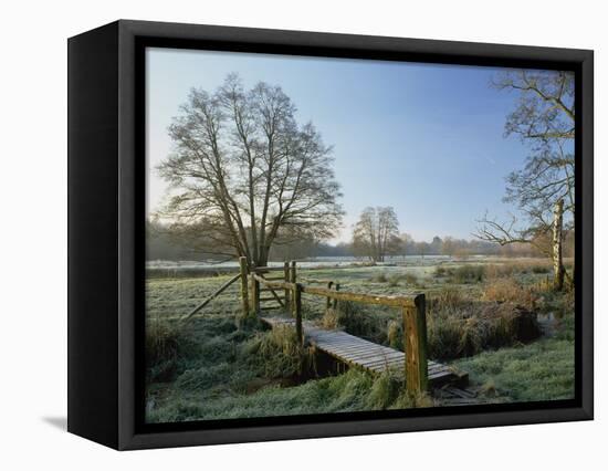 Frost at Thundery Meadows, Elstead, Surrey, England, UK-Pearl Bucknall-Framed Stretched Canvas