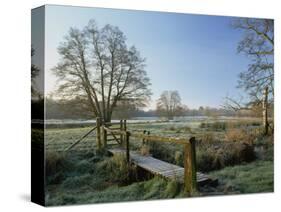 Frost at Thundery Meadows, Elstead, Surrey, England, UK-Pearl Bucknall-Stretched Canvas