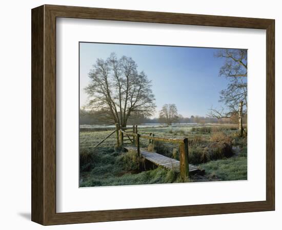 Frost at Thundery Meadows, Elstead, Surrey, England, UK-Pearl Bucknall-Framed Photographic Print