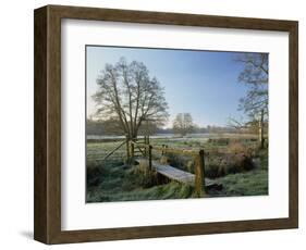 Frost at Thundery Meadows, Elstead, Surrey, England, UK-Pearl Bucknall-Framed Photographic Print