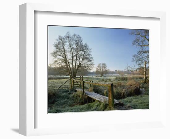 Frost at Thundery Meadows, Elstead, Surrey, England, UK-Pearl Bucknall-Framed Photographic Print