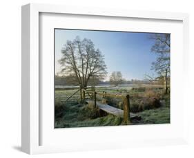 Frost at Thundery Meadows, Elstead, Surrey, England, UK-Pearl Bucknall-Framed Photographic Print