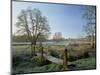 Frost at Thundery Meadows, Elstead, Surrey, England, UK-Pearl Bucknall-Mounted Photographic Print