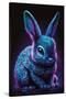 Frost Bunny 2-null-Stretched Canvas
