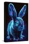 Frost Bunny 4-null-Stretched Canvas