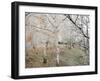 Frost-Covered Birch Trees, Town of Cakovice, Prague, Czech Republic, Europe-Richard Nebesky-Framed Photographic Print