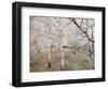 Frost-Covered Birch Trees, Town of Cakovice, Prague, Czech Republic, Europe-Richard Nebesky-Framed Photographic Print