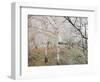 Frost-Covered Birch Trees, Town of Cakovice, Prague, Czech Republic, Europe-Richard Nebesky-Framed Photographic Print