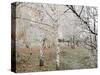 Frost-Covered Birch Trees, Town of Cakovice, Prague, Czech Republic, Europe-Richard Nebesky-Stretched Canvas