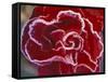Frost-Covered Rose-Michele Westmorland-Framed Stretched Canvas