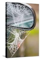 Frost Covered Spiderweb on Automobile Mirror-Ashley Cooper-Stretched Canvas