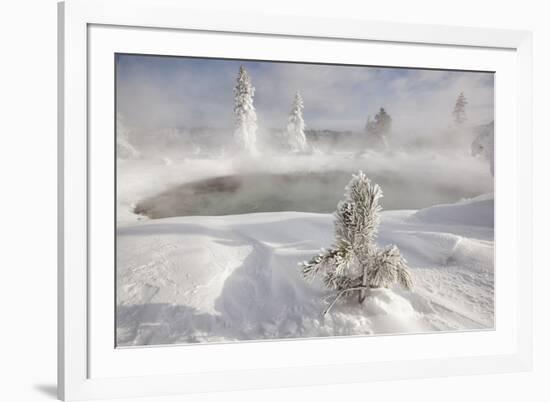 Frost covered trees and snow in thermal basin, Tire Pool, Midway Geyser Basin, Yellowstone-Allen Lloyd-Framed Photographic Print