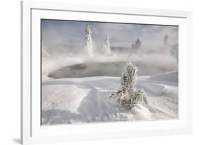 Frost covered trees and snow in thermal basin, Tire Pool, Midway Geyser Basin, Yellowstone-Allen Lloyd-Framed Photographic Print