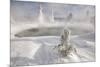 Frost covered trees and snow in thermal basin, Tire Pool, Midway Geyser Basin, Yellowstone-Allen Lloyd-Mounted Photographic Print